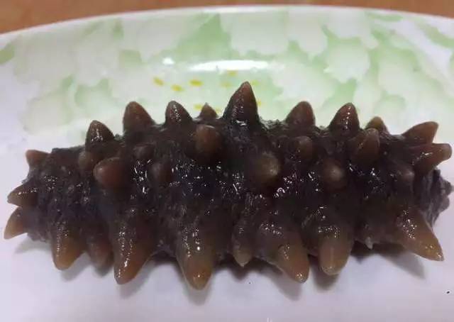 最新海參價格表，海參多少錢一斤？