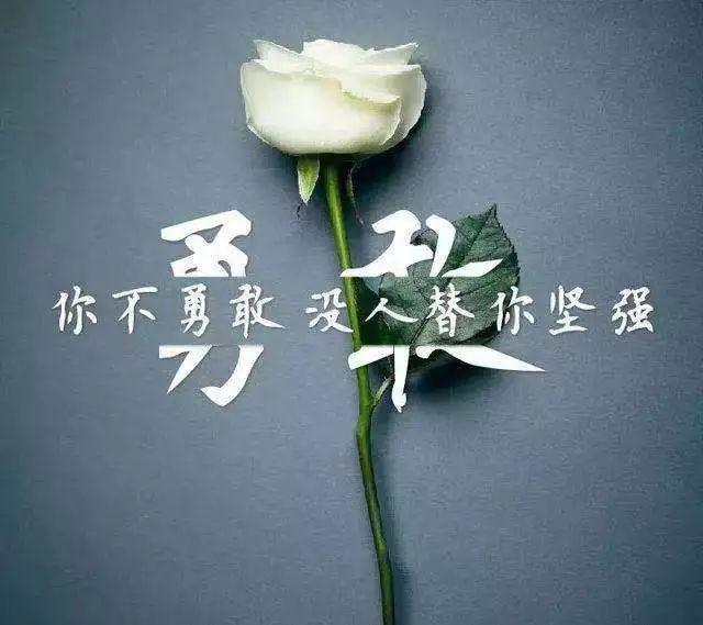 最新影視劇，引領(lǐng)視覺盛宴，探索未知世界