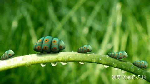 最新小電影，探索微觀世界的精彩瞬間