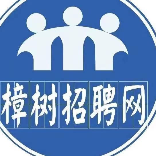 最新招聘動(dòng)態(tài)，司機(jī)招聘網(wǎng)的人才招募大潮