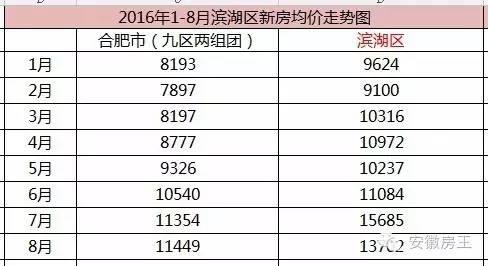 合肥房價走勢最新消息，市場分析與預(yù)測