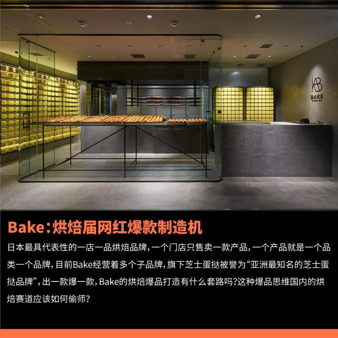 新聞最新，全球動態(tài)與社會熱點(diǎn)深度解析