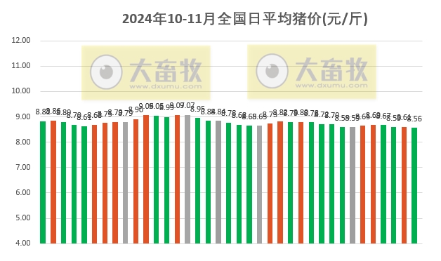 第8頁